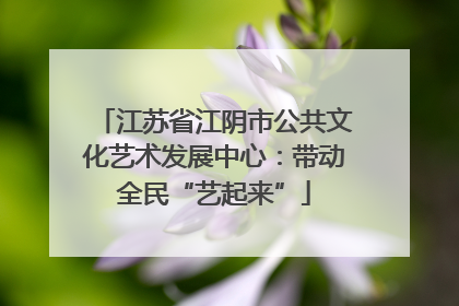 江苏省江阴市公共文化艺术发展中心：带动全民“艺起来”