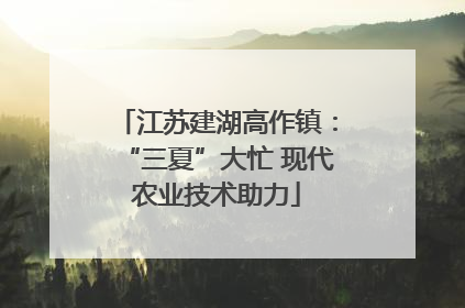 江苏建湖高作镇：“三夏”大忙 现代农业技术助力