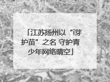 江苏扬州以“i芽护苗”之名 守护青少年网络晴空