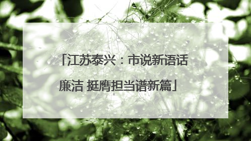 江苏泰兴：市说新语话廉洁 挺膺担当谱新篇