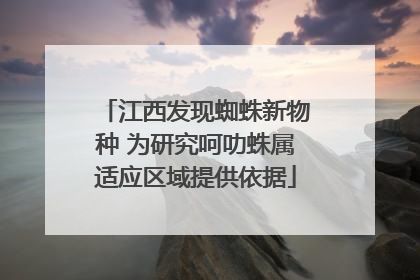 江西发现蜘蛛新物种 为研究呵叻蛛属适应区域提供依据