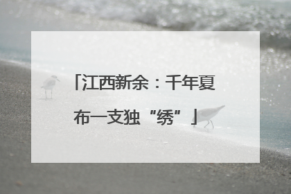 江西新余：千年夏布一支独“绣”