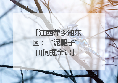 江西萍乡湘东区：“泥腿子”田间掘金记