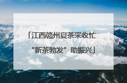 江西赣州夏茶采收忙 “新茶勃发”助振兴