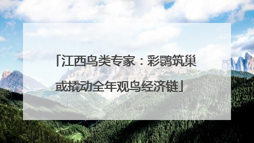 江西鸟类专家：彩鹮筑巢或撬动全年观鸟经济链