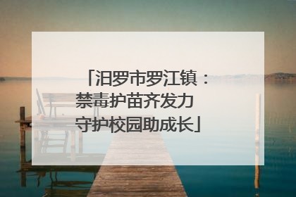 汨罗市罗江镇：禁毒护苗齐发力 守护校园助成长