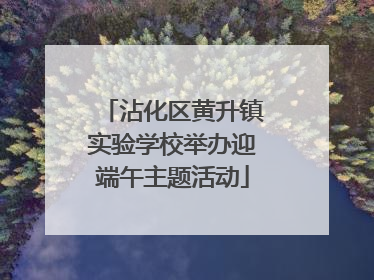 沾化区黄升镇实验学校举办迎端午主题活动
