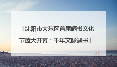 沈阳市大东区首届晒书文化节盛大开幕：千年文脉遇书