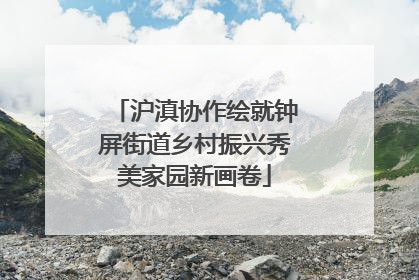 沪滇协作绘就钟屏街道乡村振兴秀美家园新画卷
