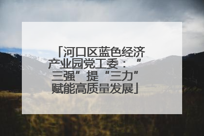 河口区蓝色经济产业园党工委：“三强”提“三力”赋能高质量发展