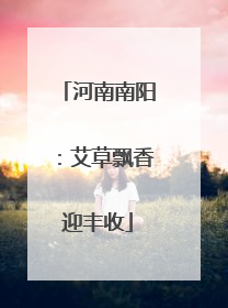 河南南阳：艾草飘香迎丰收