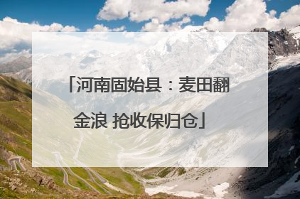河南固始县：麦田翻金浪 抢收保归仓