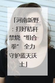 河南新野：打好秸秆禁烧“组合拳” 全力守护蓝天沃土