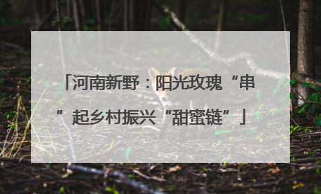 河南新野：阳光玫瑰“串”起乡村振兴“甜蜜链”