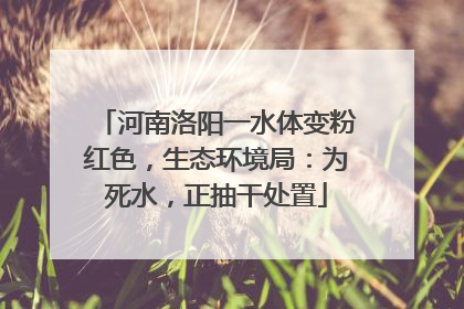 河南洛阳一水体变粉红色，生态环境局：为死水，正抽干处置