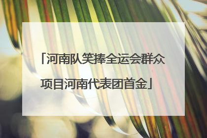 河南队笑捧全运会群众项目河南代表团首金