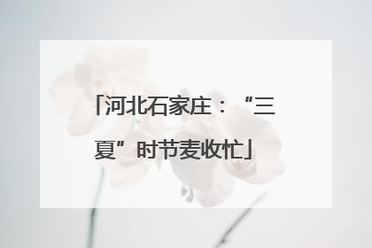河北石家庄：“三夏”时节麦收忙