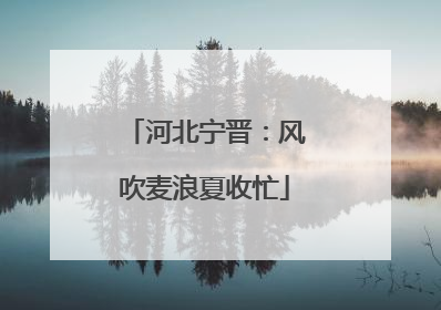 河北宁晋：风吹麦浪夏收忙