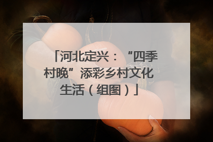 河北定兴：“四季村晚”添彩乡村文化生活（组图）