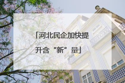河北民企加快提升含“新”量