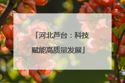 河北芦台：科技赋能高质量发展