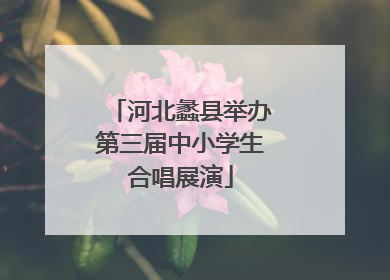 河北蠡县举办第三届中小学生合唱展演