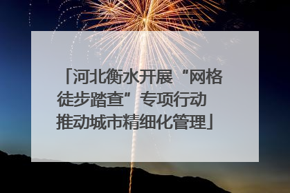 河北衡水开展“网格徒步踏查”专项行动 推动城市精细化管理