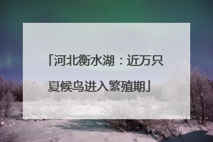 河北衡水湖：近万只夏候鸟进入繁殖期