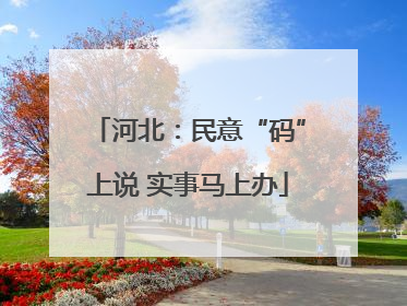 河北：民意“码”上说 实事马上办