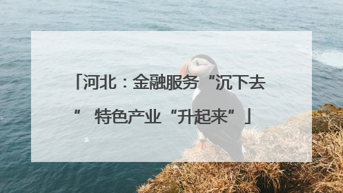 河北：金融服务“沉下去” 特色产业“升起来”