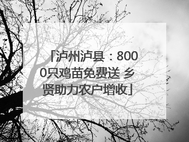 泸州泸县：8000只鸡苗免费送 乡贤助力农户增收