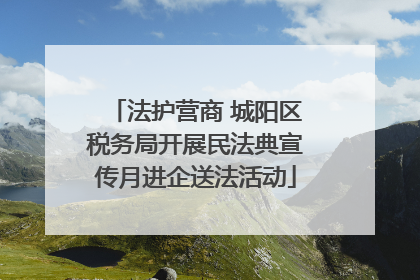 法护营商 城阳区税务局开展民法典宣传月进企送法活动