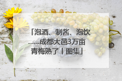 泡酒、制酱、泡饮……成都大邑3万亩青梅熟了丨图集