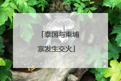 泰国与柬埔寨发生交火