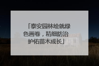 泰安园林绘就绿色画卷，精细防治护佑苗木成长
