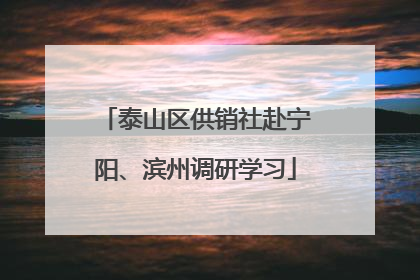 泰山区供销社赴宁阳、滨州调研学习