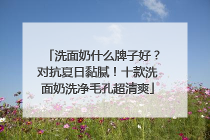 洗面奶什么牌子好？对抗夏日黏腻！十款洗面奶洗净毛孔超清爽