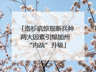 洛杉矶惊现新兵种 两大因素引爆加州“内战”升级