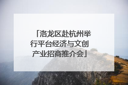 洛龙区赴杭州举行平台经济与文创产业招商推介会