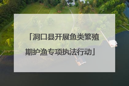 洞口县开展鱼类繁殖期护渔专项执法行动