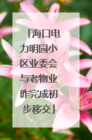 海口电力明园小区业委会与老物业昨完成初步移交