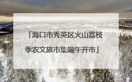 海口市秀英区火山荔枝季农文旅市集端午开市