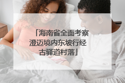 海南省全面考察澄迈境内东坡行经古驿道村落