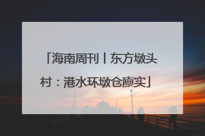 海南周刊丨东方墩头村：港水环墩仓廪实