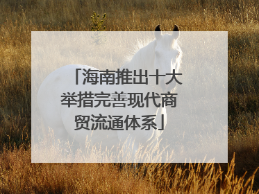海南推出十大举措完善现代商贸流通体系
