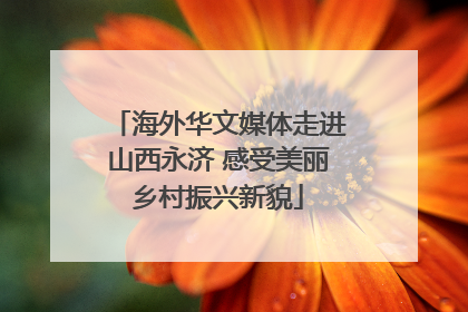 海外华文媒体走进山西永济 感受美丽乡村振兴新貌