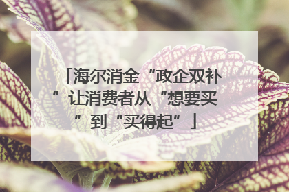 海尔消金“政企双补”让消费者从“想要买”到“买得起”