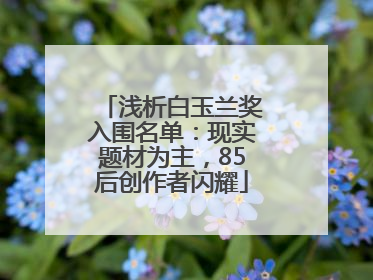 浅析白玉兰奖入围名单：现实题材为主，85后创作者闪耀