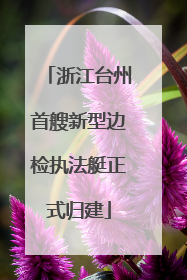 浙江台州首艘新型边检执法艇正式归建