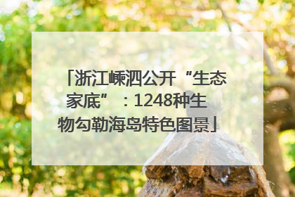 浙江嵊泗公开“生态家底”：1248种生物勾勒海岛特色图景